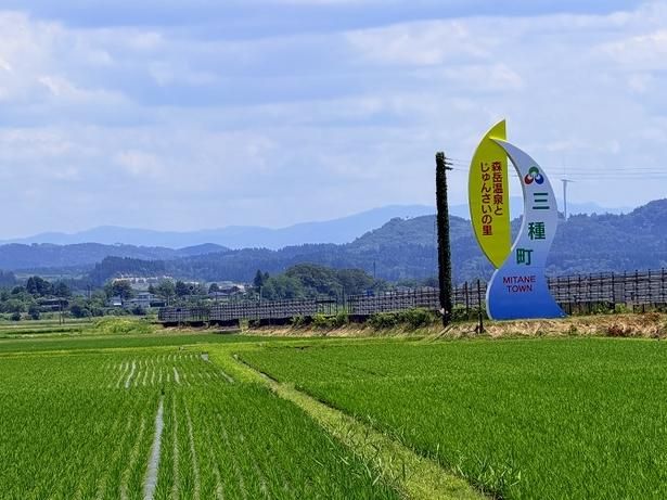 三種町は「じゅんさい 」のまち