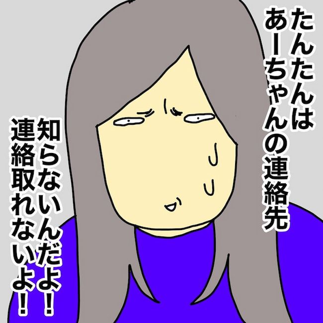 母の認知症介護日記／ワフウフ