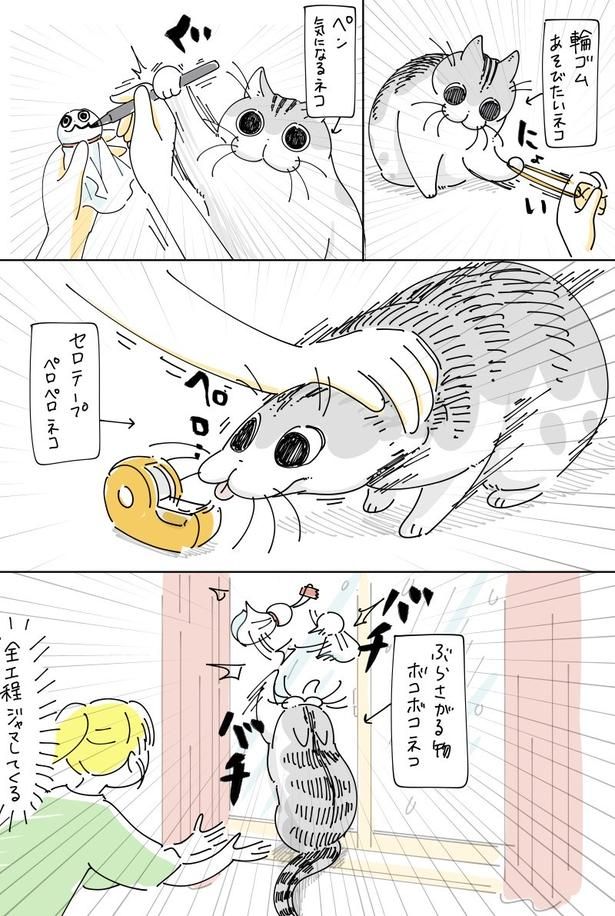 02 画像提供：キュルZ@kyuryuZ