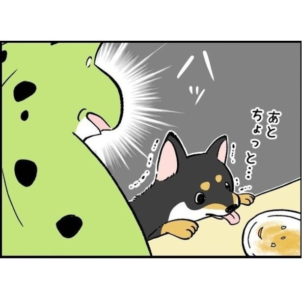 子どもの名前とペットの名前わりと間違えがち ユウコトリトリ(@yuko_toritori)
