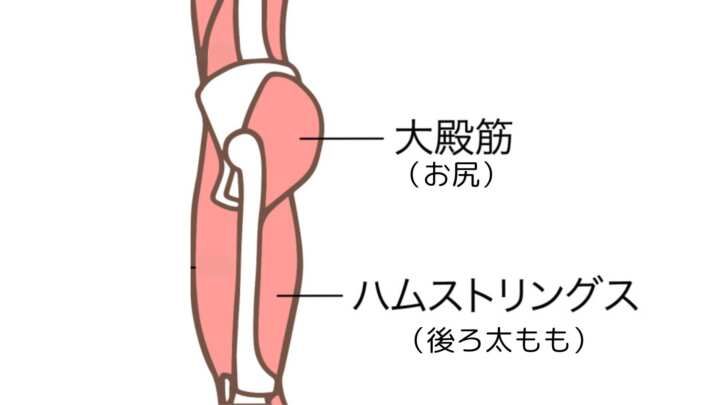 体幹トレーニング】お尻＆もも裏を鍛える「プランクレッグレイズ」の効果と正しいやり方 | トレーニング ×スポーツ『MELOS』
