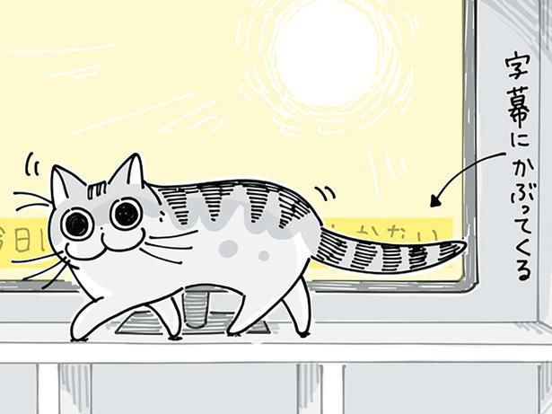 字幕が見えないけれど （C）キュルZ／KADOKAWA