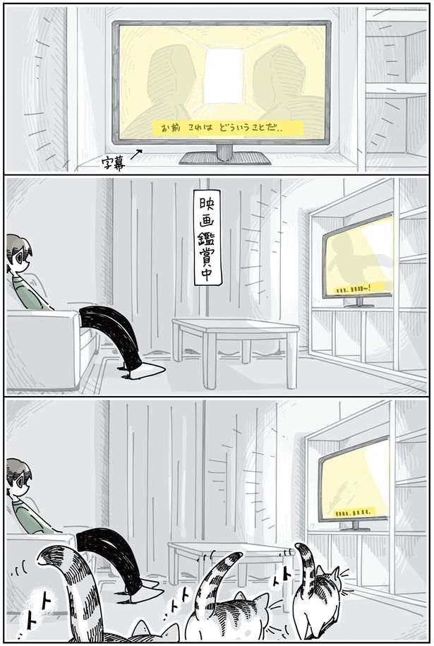 映画鑑賞をジャマするネコ （C）キュルZ／KADOKAWA