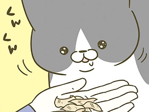 ふわふわの鰹節に… （C）卵山玉子／KADOKAWA