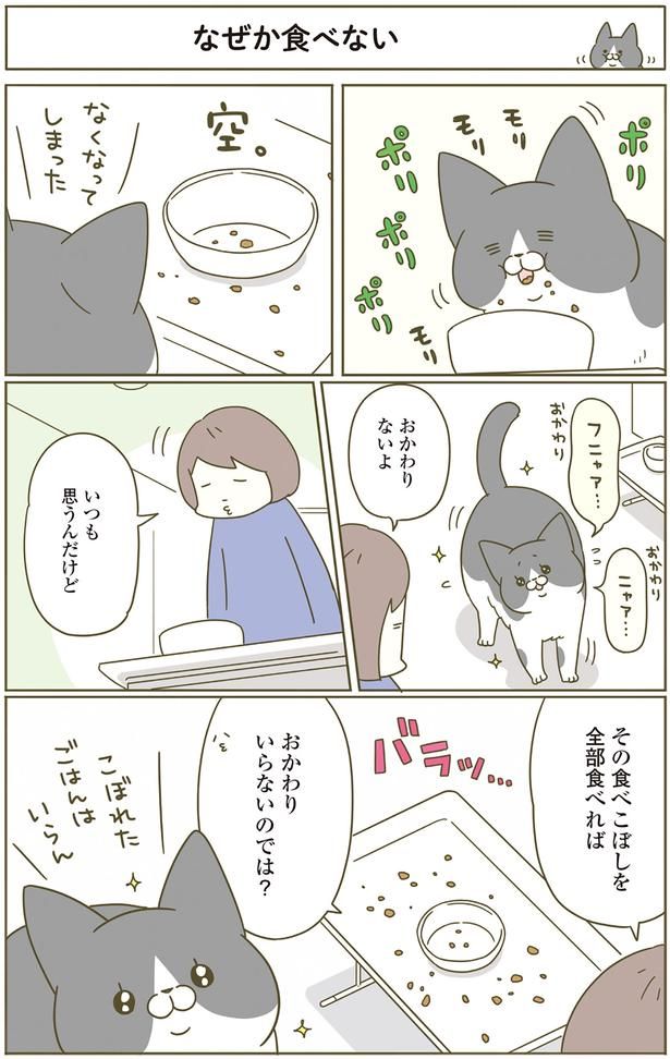 いつも思うんだけど （C）卵山玉子／KADOKAWA