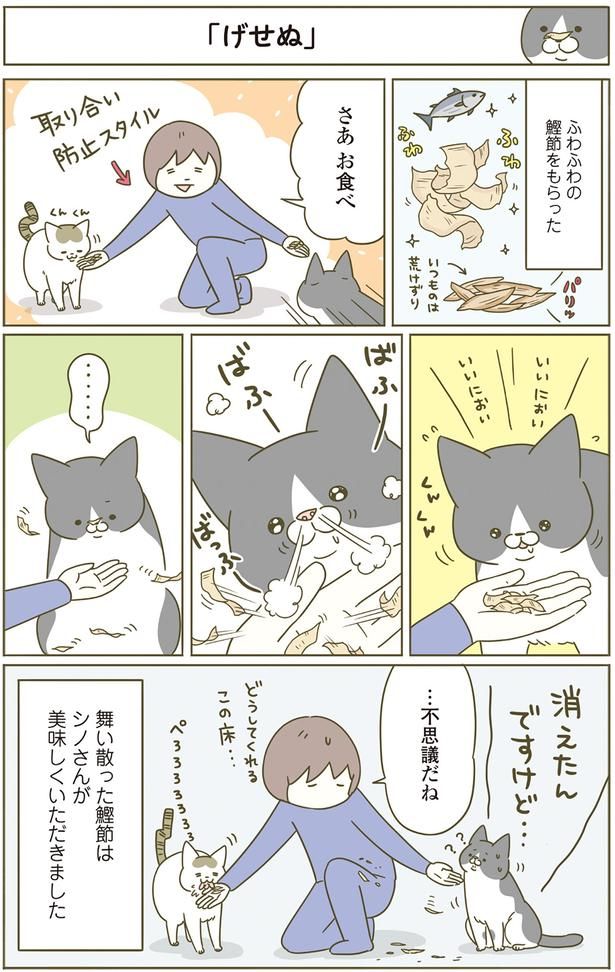 消えたんですけど… （C）卵山玉子／KADOKAWA