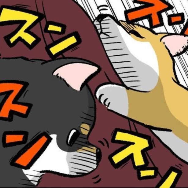 柴犬フィーバータイム油断すると逃しがち ユウコトリトリ(@yuko_toritori)