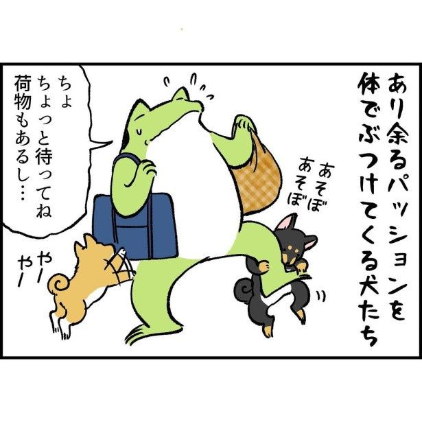 柴犬フィーバータイム油断すると逃しがち_3 ユウコトリトリ(@yuko_toritori)