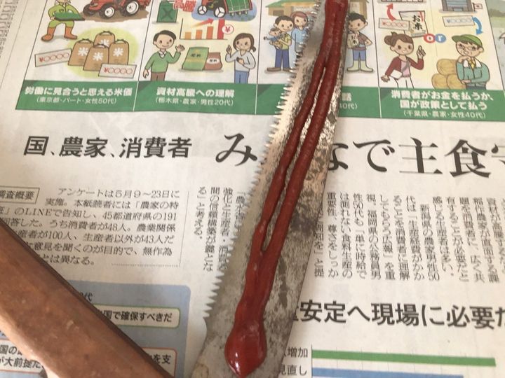 早速試してみました