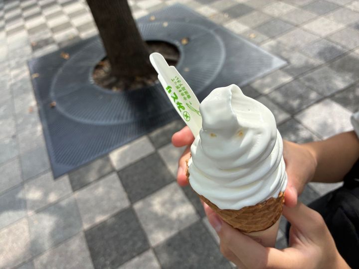 実食レポ