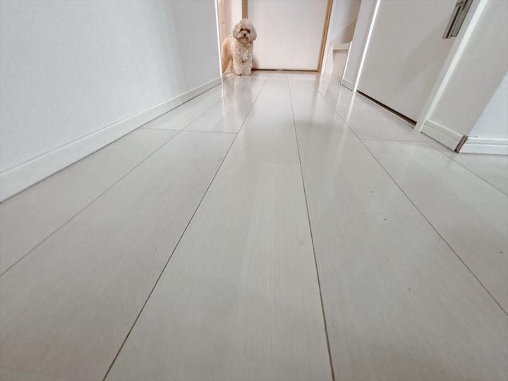 筆者宅の廊下のフローリング