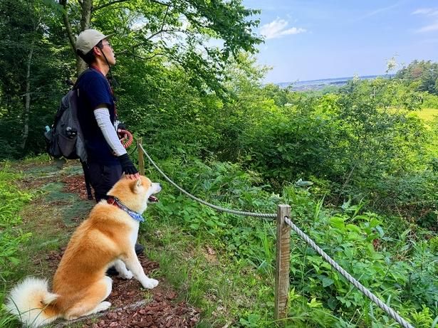 三種町が一望できる見晴らしスポット