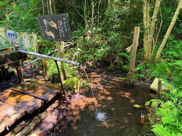 水飲み場