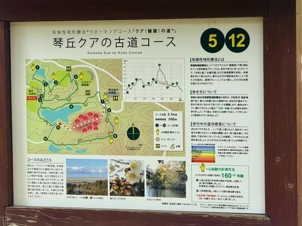 コースには見晴らしがいい場所や季節の花々が楽しめるスポットもある