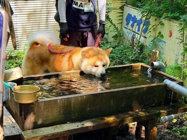 マサもひと休み