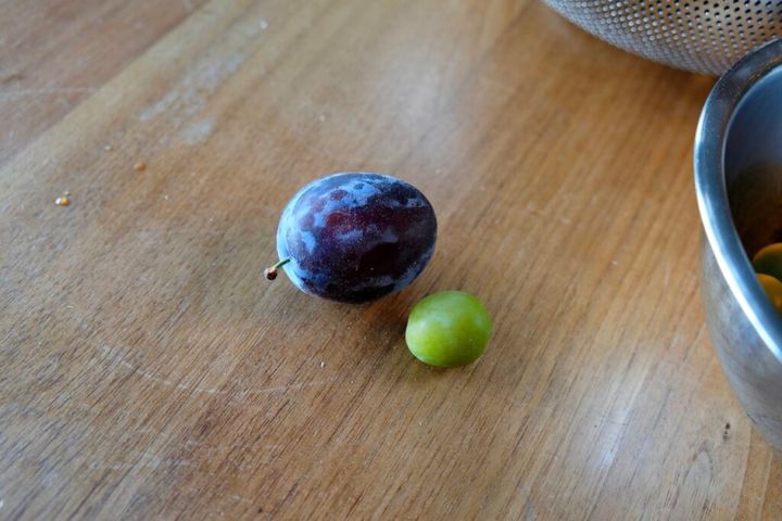 プラム ミラベル 