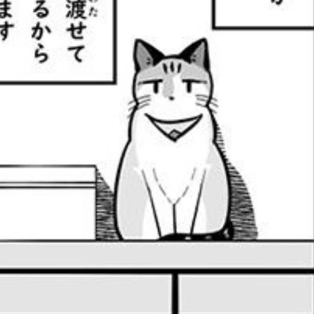 猫が高い場所にいるとき 取材協力：しぴー(@pummeluff39)