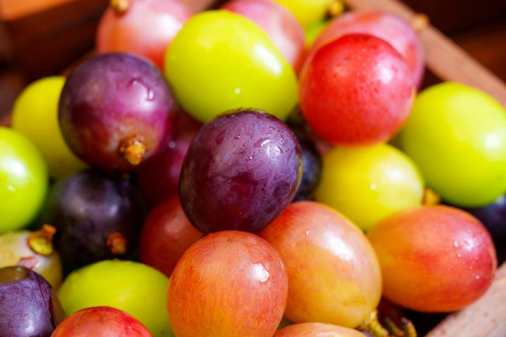 紫・黄緑・赤の国産ぶどう3品種が盛られた「ぶどうの収穫祭」の一皿