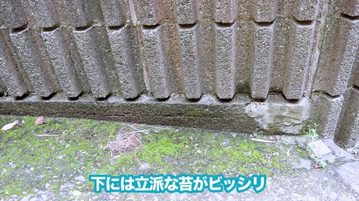 頑固なコケやカビを一掃！高圧洗浄機で擁壁をピカピカに