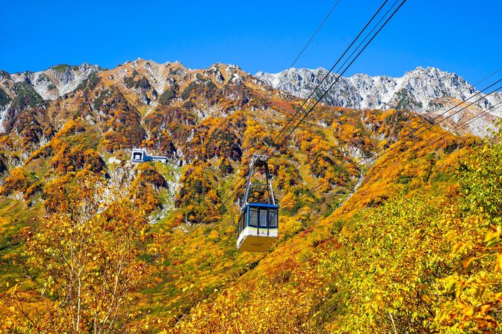 黄葉した木々の間を進む立山ロープウェイのゴンドラ