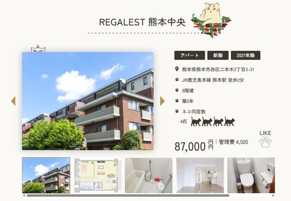 掲載物件すべてがネコ可物件のポータルサイト「ネコ不動産.com」公開！
