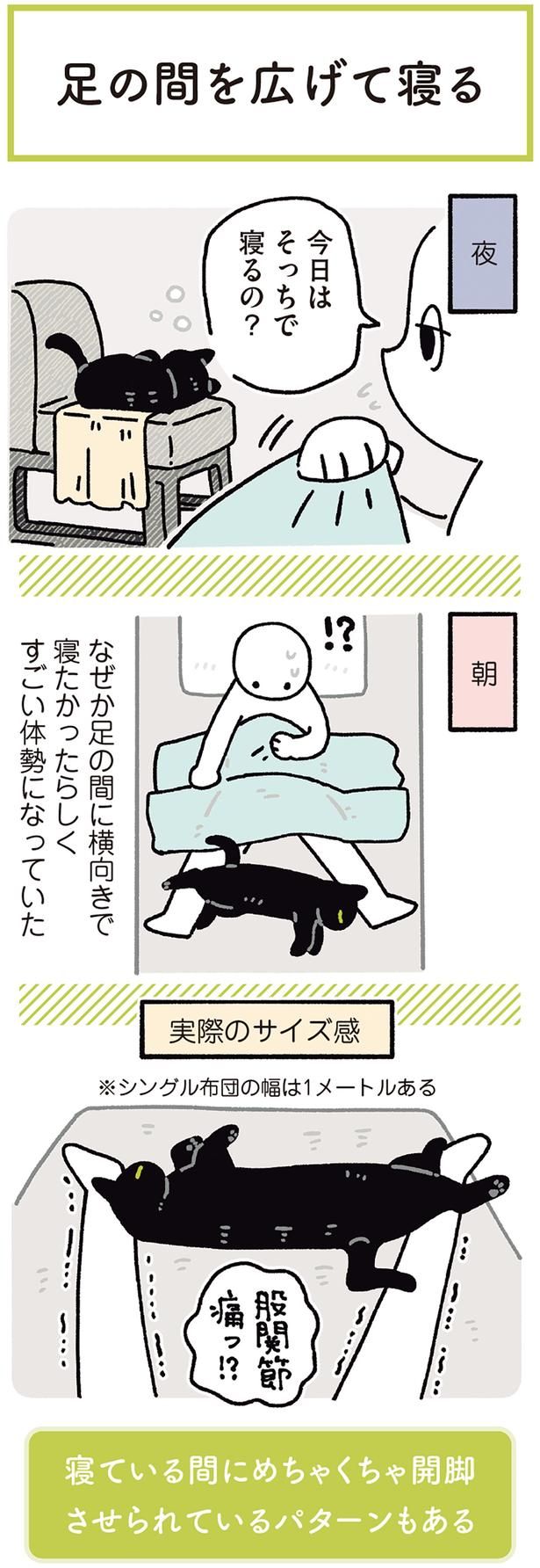 今日はそっちで寝るの？ （C）AKR／KADOKAWA