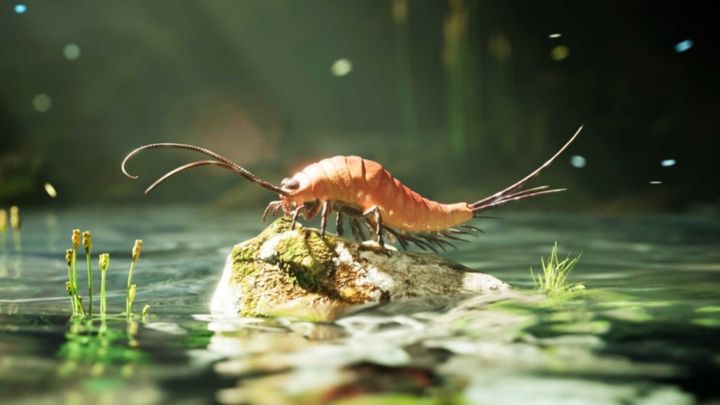 40年間「エビの子ども」と思われていた化石の正体は、24本脚の昆虫だった