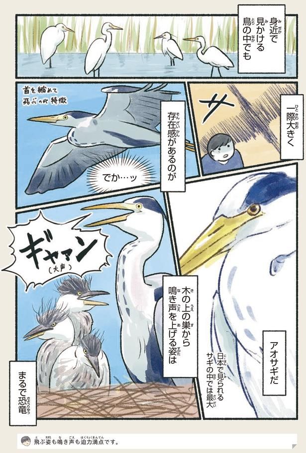 でか…ッ （C）piro piro piccolo／KADOKAWA