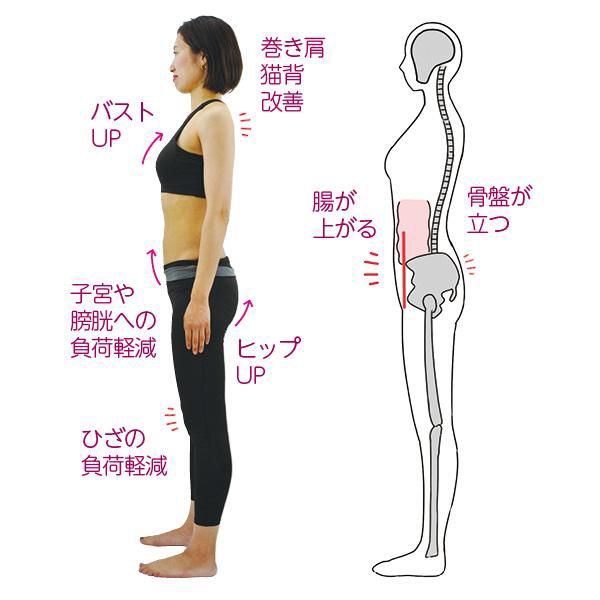 【腸が上がると】