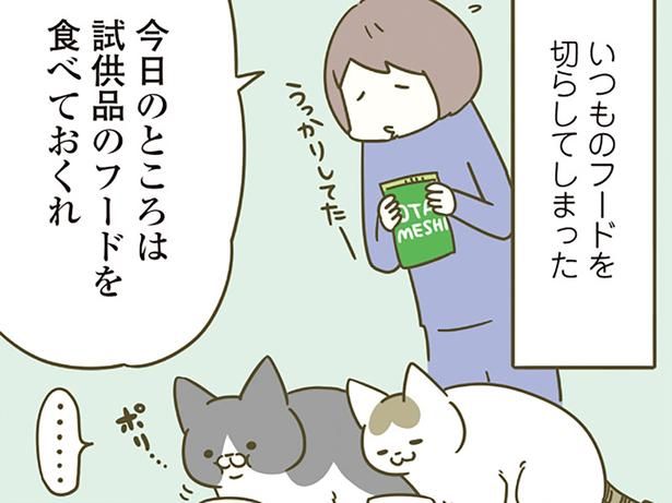 今日のところは… （C）卵山玉子／KADOKAWA