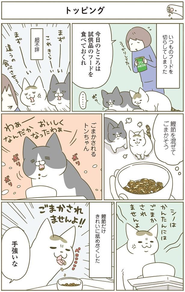 いつものフードを切らしてしまった （C）卵山玉子／KADOKAWA