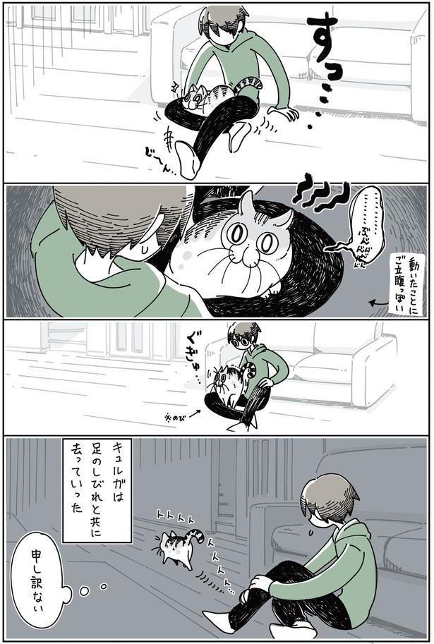 申し訳ない （C）キュルZ／KADOKAWA