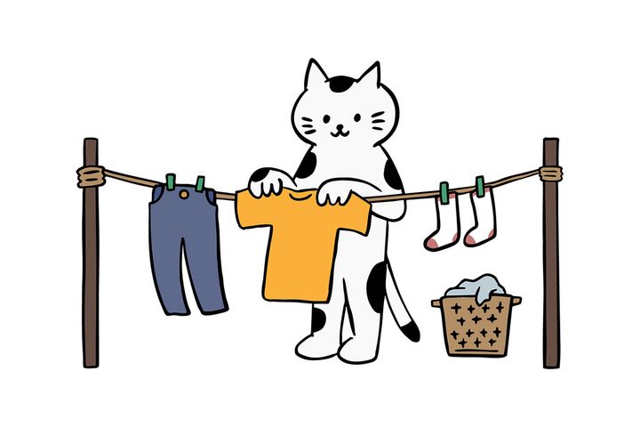 衣服や季節に合わせて使い分けるのがおすすめ