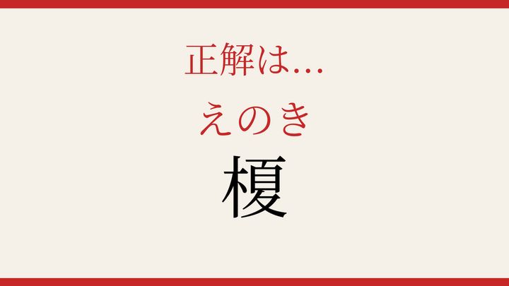【難読漢字】10秒で読める？身近な樹木の名前の解答画像