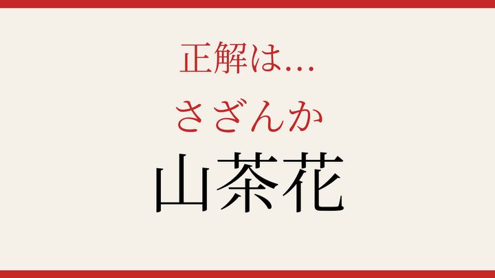 【難読漢字】10秒で読める？冬の庭を彩る花の解答画像