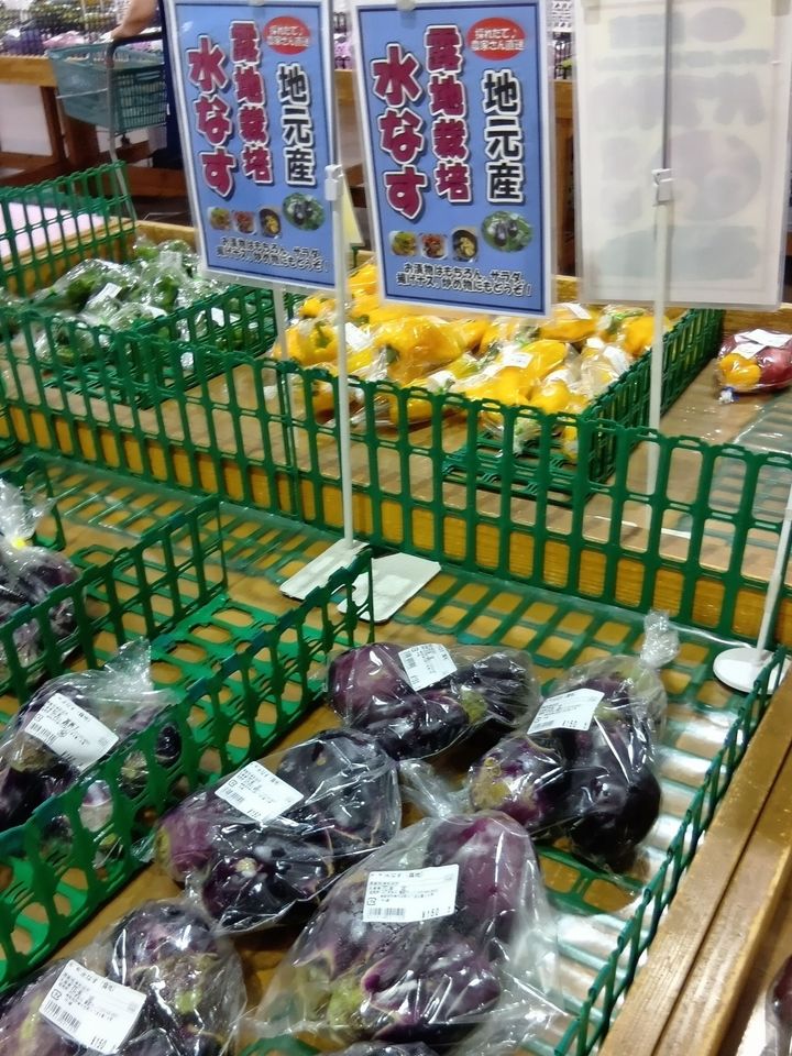テレビでも紹介の大人気の道の駅！愛彩ランドでついに手に入れた！生でもおいしい！「泉州水なす」の選び方