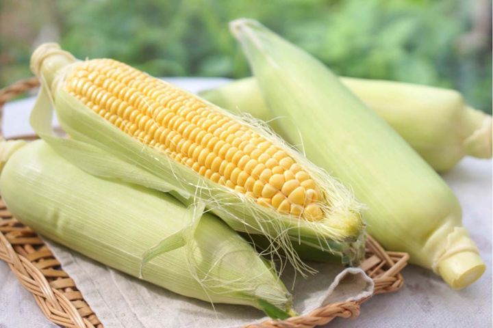 jpg収穫後、時間が経つと糖分が半減して甘みが減るので、できるだけ早めに食べましょう。