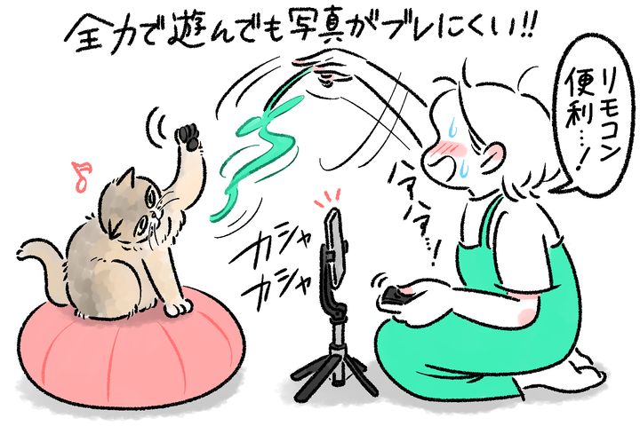 写真家・MARCOが伝授！ 愛猫をかわいく撮るスマホ撮影6つのコツ
