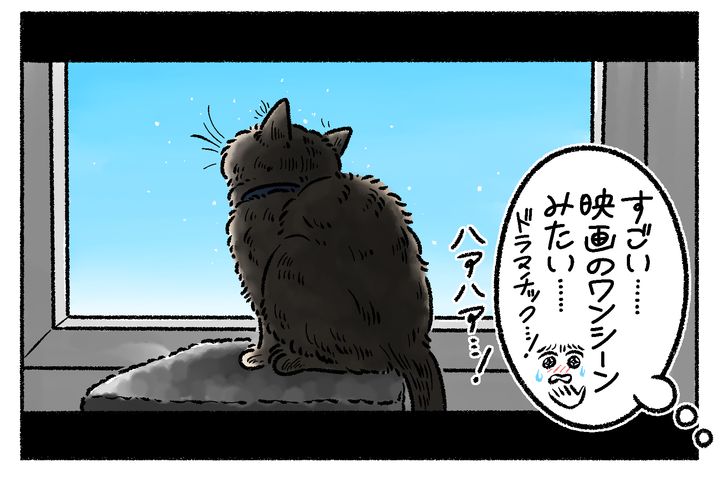 写真家・MARCOが伝授！ 愛猫をかわいく撮るスマホ撮影6つのコツ