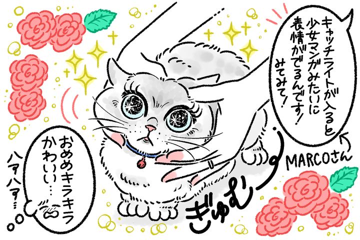 写真家・MARCOが伝授！ 愛猫をかわいく撮るスマホ撮影6つのコツ