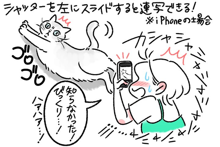 写真家・MARCOが伝授！ 愛猫をかわいく撮るスマホ撮影6つのコツ