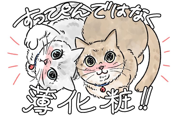 写真家・MARCOが伝授！ 愛猫をかわいく撮るスマホ撮影6つのコツ