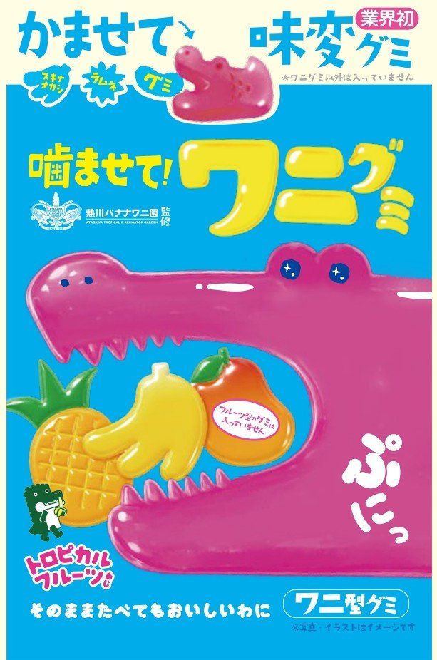 ワニの口にお菓子を挟む「噛ませて！ワニグミ」の遊び方