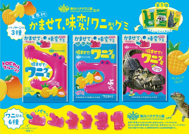 「噛ませて！ワニグミ トロピカルフルーツあじ」ほか3種のパッケージ