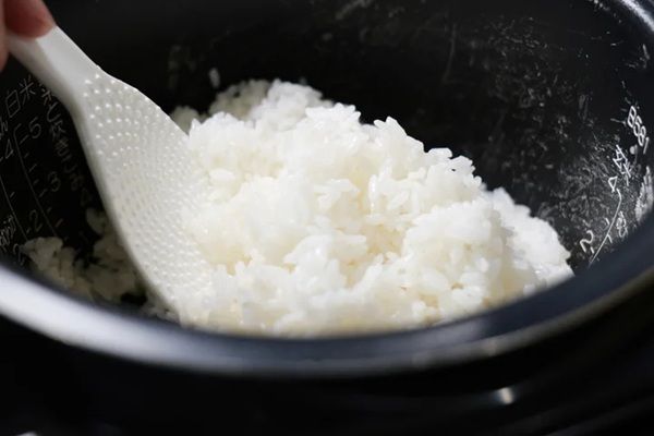 【高知県高知市】「こうち米フェスタ2026」開催！高知米の食べくらべからグルメまで堪能しよう