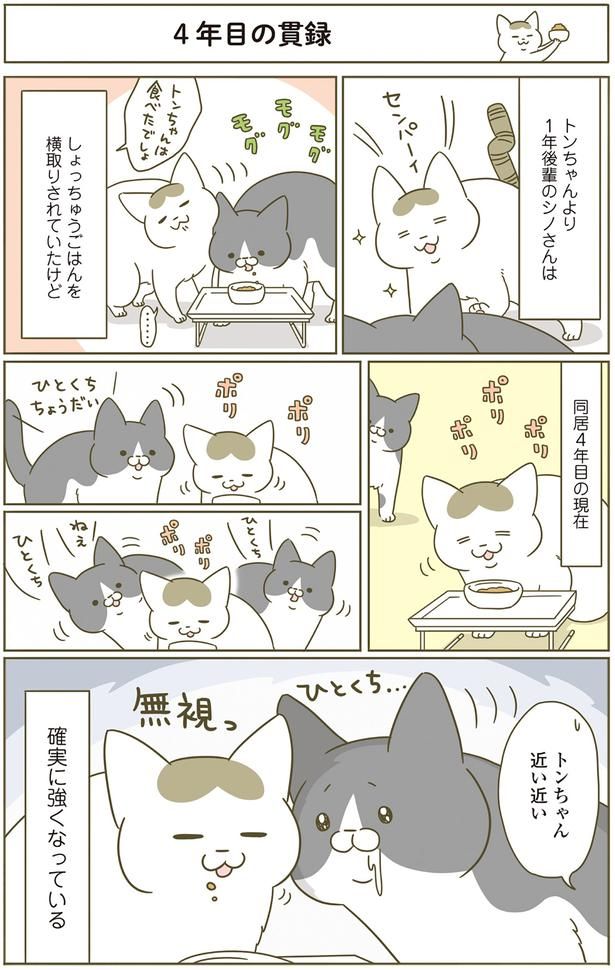 同居4年目の現在 （C）卵山玉子／KADOKAWA