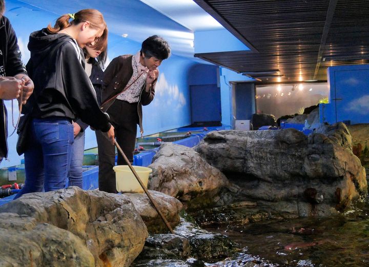 給餌棒でエイやサメへ刺し餌を行う参加者