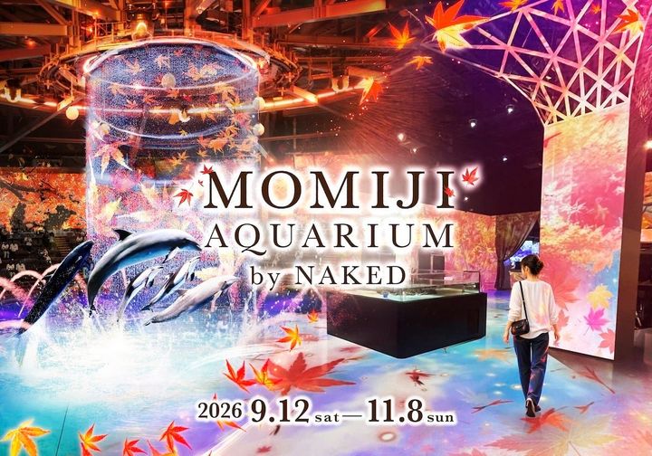 「MOMIJI AQUARIUM by NAKED」のメインビジュアルとイルカのジャンプ
