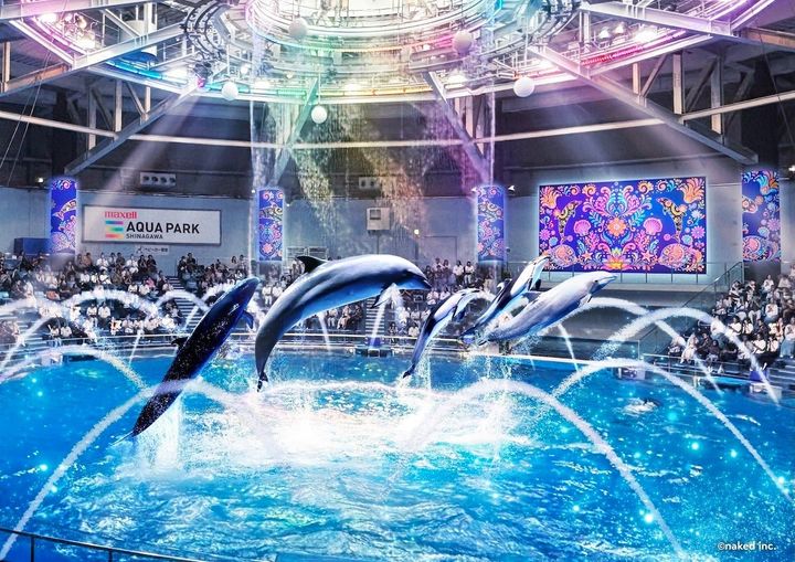 カラフルな照明の中でジャンプするイルカたちの「Autumn Dolphin Festa」