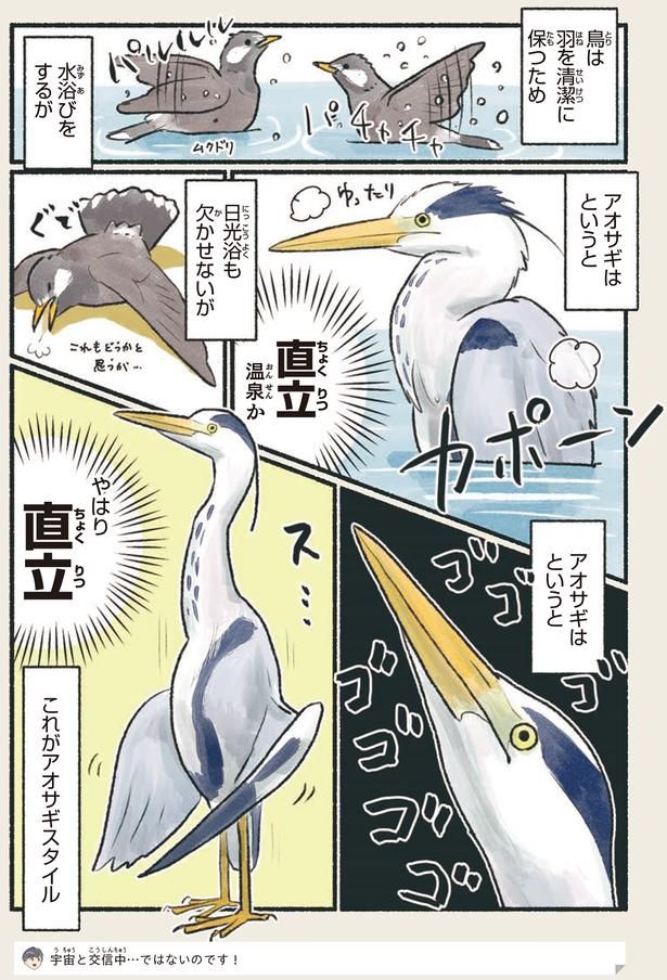 やはり直立 （C）piro piro piccolo／KADOKAWA